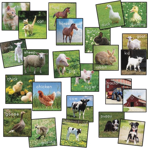 Flagship Carpets, Inc. Rug Seating Squares, Barn Animals, 16"Wx16"Lx1/2"H, Multi