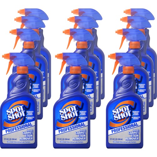 WD-40 Company Carpet Stain Remover Spray, Professional, 32oz, 12/CT, Clear