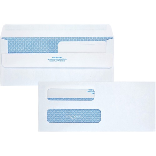 Quality Park Envelope, Double Window, 7-1/4"Wx9"Lx4"H, 250/CT, WE