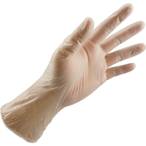 PAC Sales Group Gloves,Vinyl,PF,Latex-free,4 mil,XLarge,100/BX,10BX/CT,CL