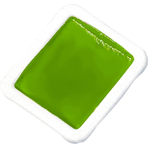 Dixon Ticonderoga Company Watercolor Refills,Half-Pan,Semi-Moist,1 DZ,Yellow Green
