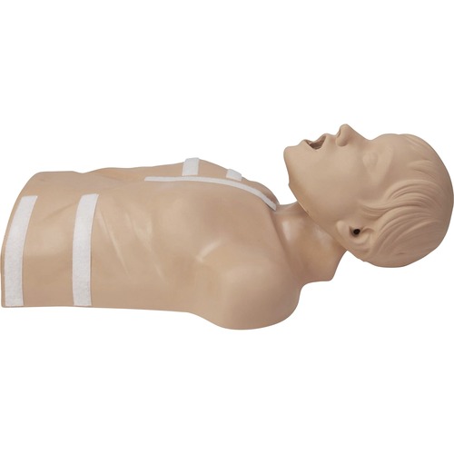Zoll Medical Corp Mannequin,f/AED 3/CPR Training,Torso,Removable Head