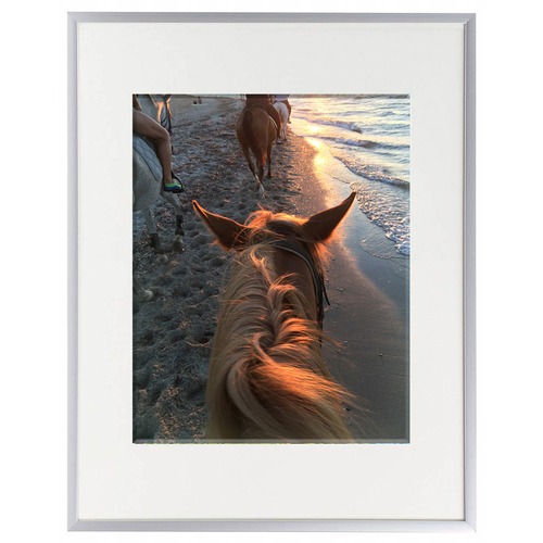 SECO Frame,Picture,Aluminum,11"x14",Silver