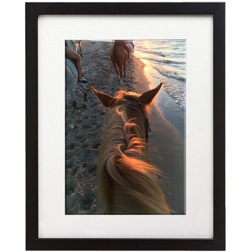 SECO Frame,Picture,Wood,11"x14",Black