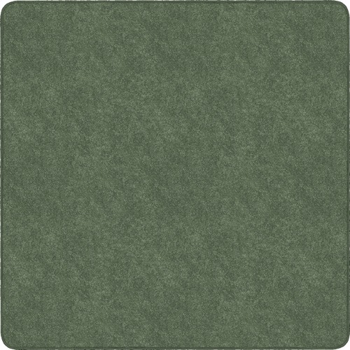 Flagship Carpets, Inc. Rug,Square,SolidColor,StainResistant,6'x6' Sage Green