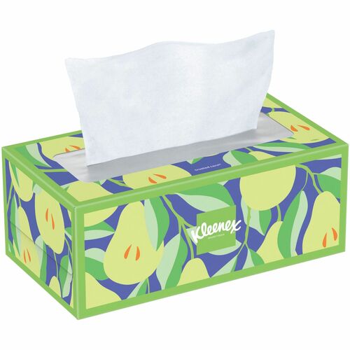 Kimberly-Clark Professional Facial Tissues,2-ply,8-1/5"x8-2/5",160/Box,24BX/CT,WE