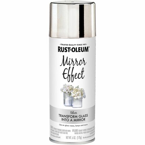 Paint, Spray, Mirror, Silver, 6 Oz view 2