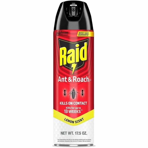 Spray, Ant and Roach, Lemon, Raid view 2