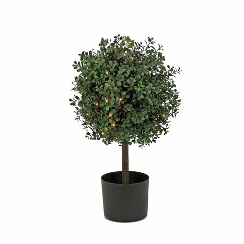 Tree, Boxwood Ball Top, Weatherproof Coating, 2 Foot view 2