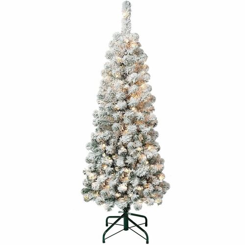 Tree, Acacia, S Flock, Wc, 4.5 Foot view 2