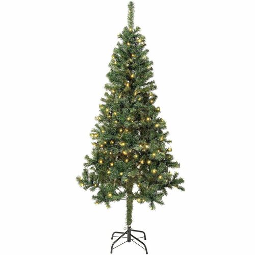 Tree, Linden, Wrapped, Wire Core, 6 Foot view 2