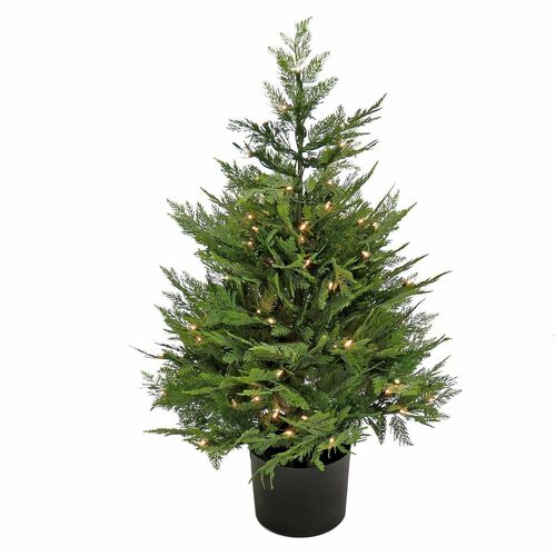 Tree, Cypress, In Pot, Wood Chip, 3 Foot view 2
