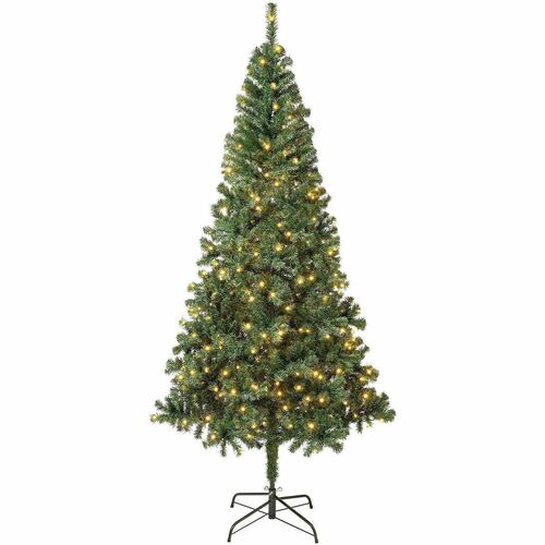 Tree, Linden, Wrapped, Weather-Resistant Coating, 7.5 Foot view 2