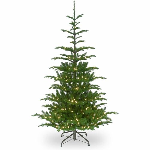 Tree, Norwegian, WC, 6.5 Foot view 2