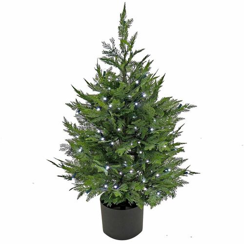 Tree, Cypress, Multi, 3 Foot view 2