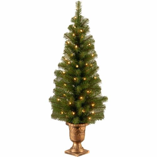 Tree, Montclair Entrance, Weatherproof Cover, 4 Foot view 2