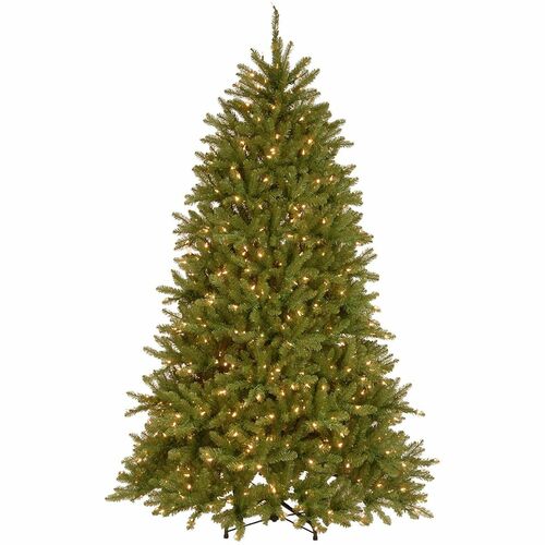 Tree, Dunhill Fir, Dled, 6.5 Foot view 2
