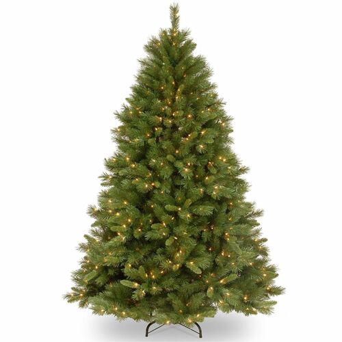 Tree, Winch Strap Pine, WC, 5 Foot view 2