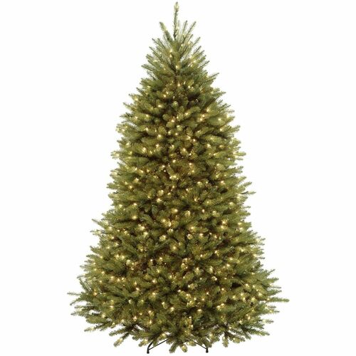 Tree, Dunhill Fir, Dled, 7.5 Foot view 2