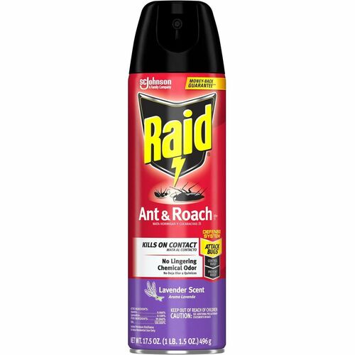 Spray, Ant and Roach, Lavender, Raid 12/CT view 2