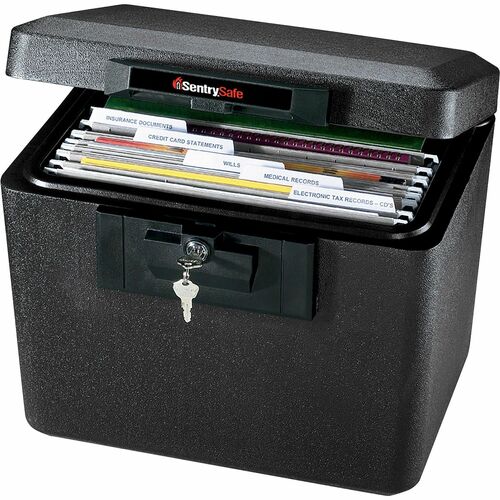 Sentry Safe Fire Safe, w/Privacy Key, 15-1/4"x12-1/8"x13-3/5", Gray