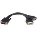 StarTech.com 8in LFH 59 Male to Dual Female VGA DMS 59 Cable - 2 x HD-15 Female Video - 1 x DMS-59 M