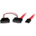 StarTech.com 0.5m Slimline SATA Female to SATA with SATA Power Cable Adapter - SATA for Optical Driv