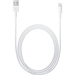 Apple Lightning to USB Cable (2 m)