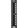 Panduit DP12688TG 12-Port Network Patch Panel