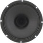 Atlas Sound SD72 Speaker - 25 W RMS