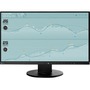 Eizo FlexScan EV2450FX-BK 23.8" LED LCD Monitor - 16:9