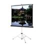 Da-Lite Picture King Portable and Tripod Projection Screen (Gray Carpeted)
