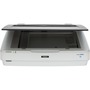 Epson Expression 12000XL-GA Flatbed Scanner - 2400 dpi Optical