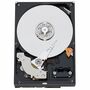 WD WD2502ABYS 250 GB Hard Drive - 3.5" Internal - SATA (SATA/300)