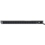 Tripp Lite PDU1415 PDU Basic 120V 15A 14 Outlet