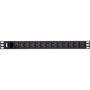 Aten PE0212 12-Outlet PDU