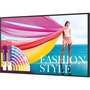 BenQ 43" Pantone&reg;Validated Smart Signage - SL4302K