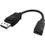 Accell DisplayPort (male) to Mini DisplayPort (female) Adapter, 8 inches