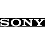 Sony Pro SRG-X400 8.5 Megapixel 4K Network Camera - Color