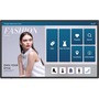 BenQ 43" Smart Interactive Signage - IL4301