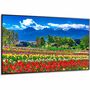 Sharp NEC Display 75" Ultra High Definition Professional Display With ATSC/NTSC Tuner