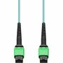 AddOn Network Cable