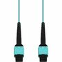 AddOn 8m MPO/UPC to MPO/UPC Aqua OM4 OFNR (Riser-Rated) 12-Strand Fiber Patch Cable