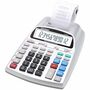 Adesso CP-90AS 12 Digits Printing Calculator (Silver)