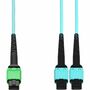 AddOn 7m AMPO-16 2xMPO Aqua OM4 OFNR (Riser-Rated) 16-Strand MMF Fiber Fanout Cable