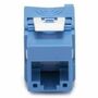 NSI Keystone Jack - Twisted Pair, CAT6A, RJ45 to Self-Terminating Punchdown, Blue, 1