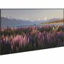 Da-Lite Parallax Thin 100" Fixed Frame Projection Screen