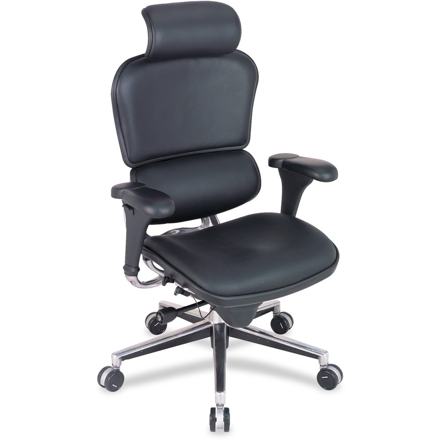 Raynor ergohuman LE9ERG High Back Executive Chair - 26" x 27.5" x 46