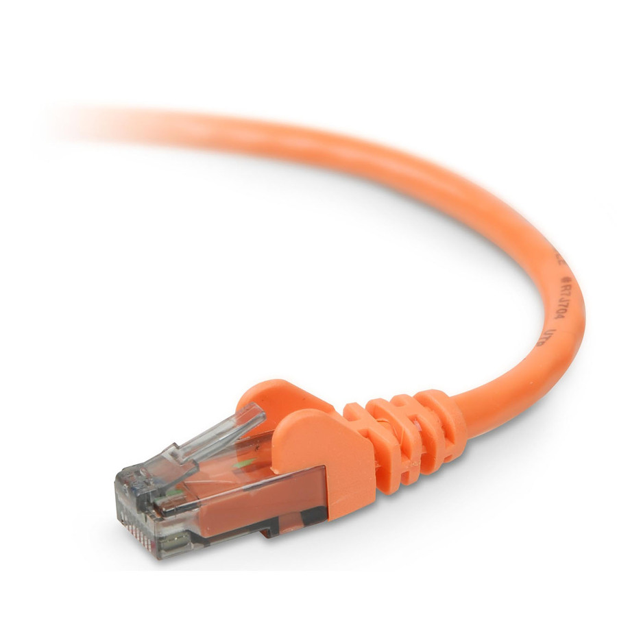 Belkin Cat. 6 UTP Network Patch Cable - RJ-45 Male - RJ-45 Male 