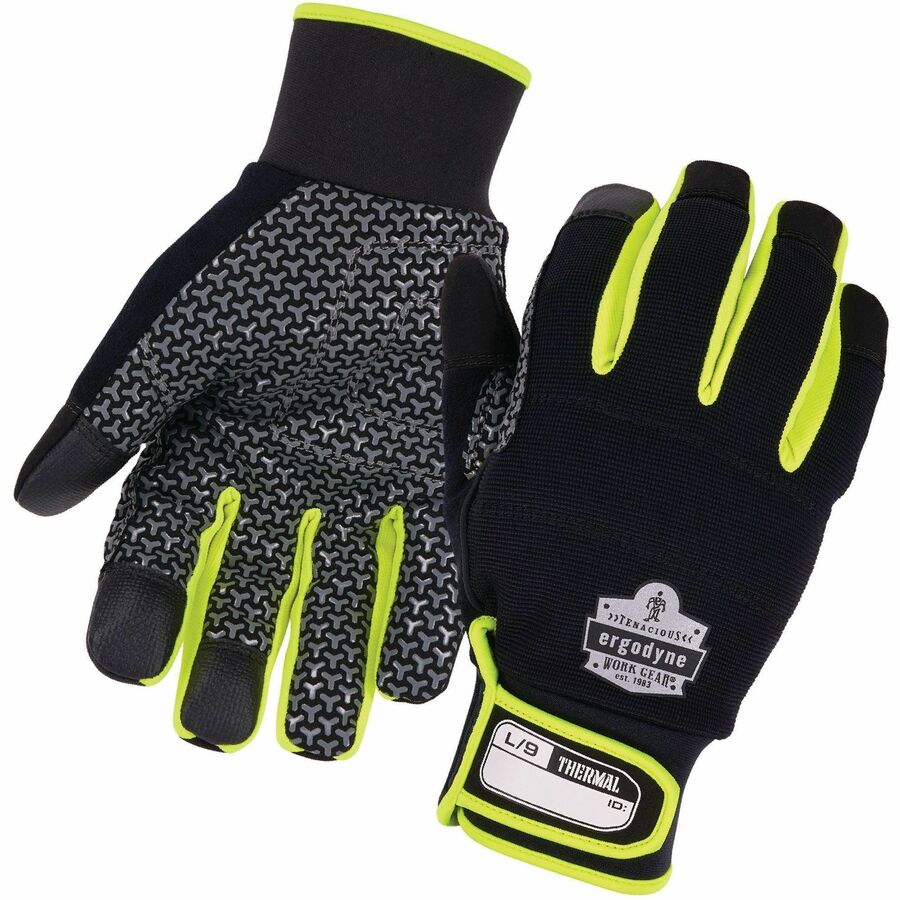 Ergodyne ProFlex 850 Insulated Freezer Gloves - Cold Temperature